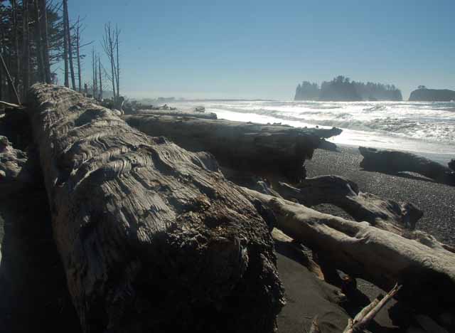 Rialto Beach